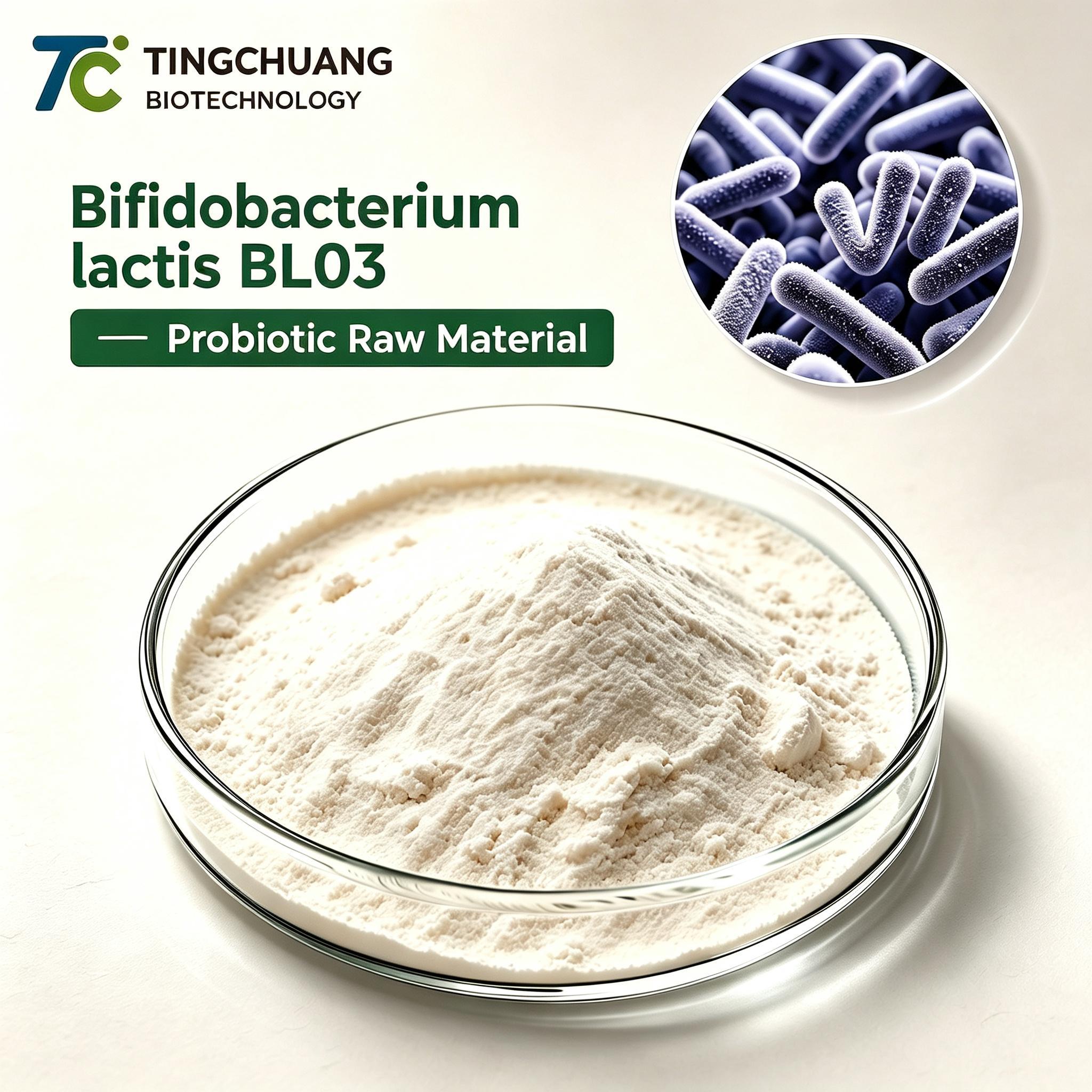 Bifidobacterium lactis BL03 Probiotic Raw Material Powder for Gut Health Supplements, Functional Foods, OEM and Private Label Applications